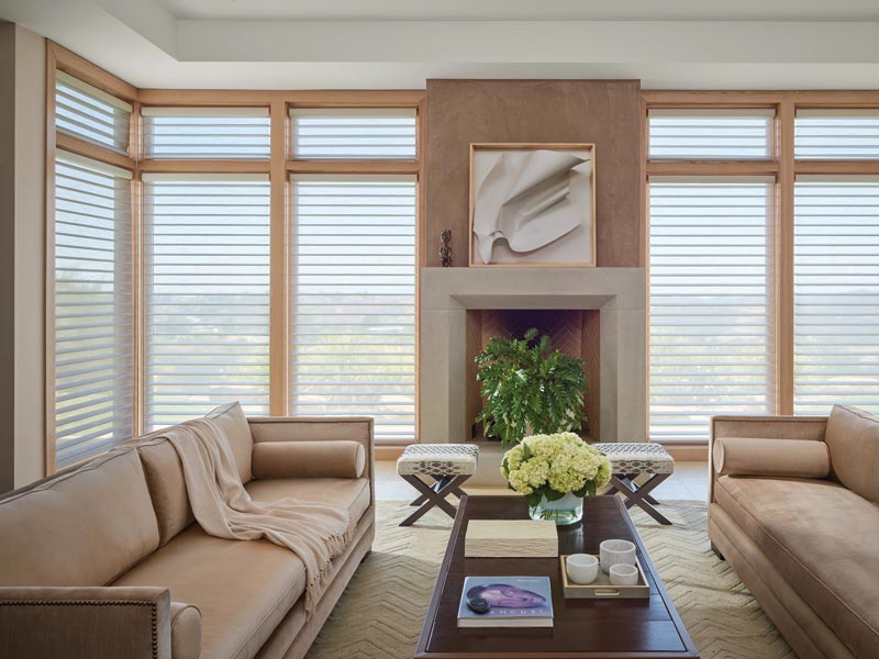 Hunter Douglas sheer shades in living room